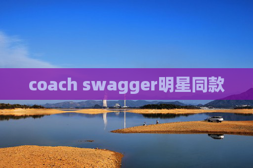 coach swagger明星同款